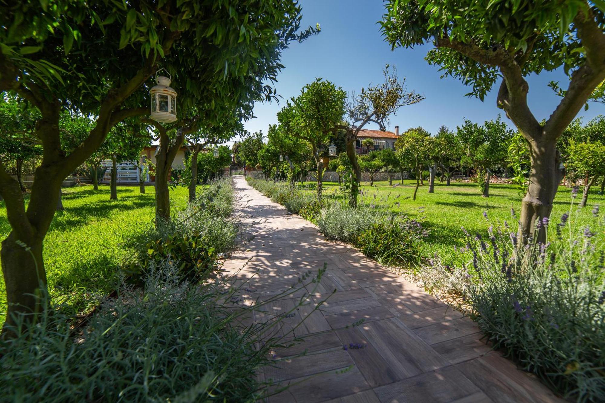 I Lecci Guesthouse San Felice Circeo Exterior photo